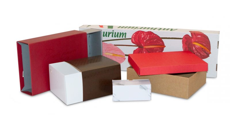 Packaging per alimenti: perché preferirli in cartone - Carves