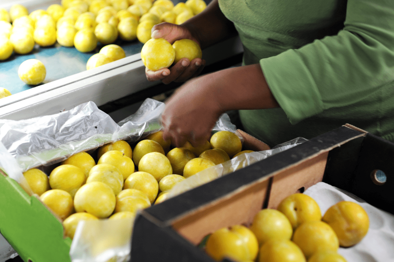 Un Modulo Ondulato Per Facilitare Il Parcheggio Di Biciclette A Taipei - Foto 8